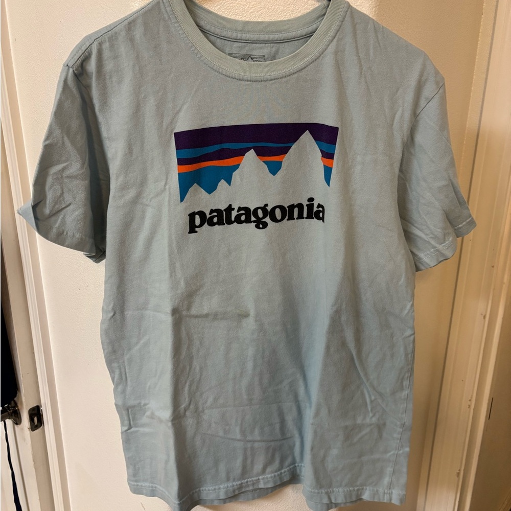 Patagonia Blue Graphic T-Shirt